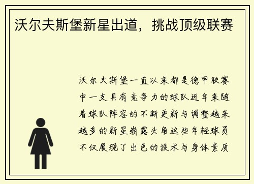 沃尔夫斯堡新星出道，挑战顶级联赛