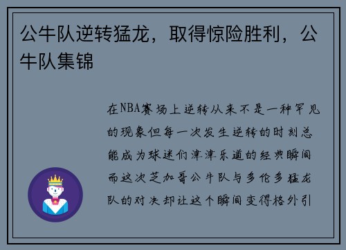 公牛队逆转猛龙，取得惊险胜利，公牛队集锦