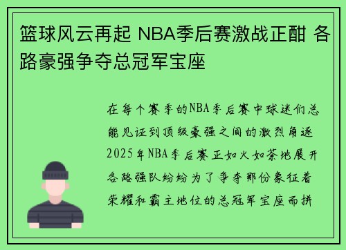 篮球风云再起 NBA季后赛激战正酣 各路豪强争夺总冠军宝座